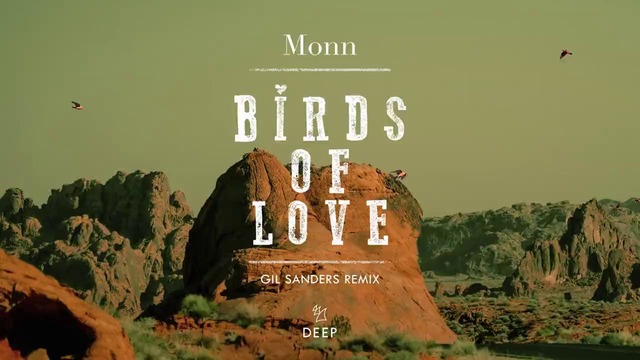 Monn – Birds Of Love (Gil Sanders Remix)