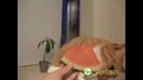 Арбузик и котик
