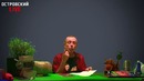 ПСОРИАЗ, ВИТИЛИГО, ИММУНИТЕТ! Сочетание продуктов, пророщенная пшеница, аутоиммунные заболевания