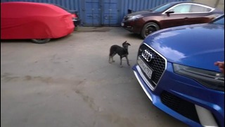 DT Live #2. Audi R8 Twin Turbo. RDRC Нижний Новгород