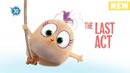 Angry Birds Blues – Последний занавес