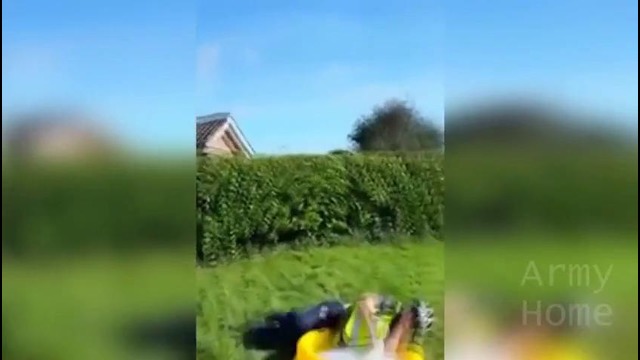 Приколюха #233