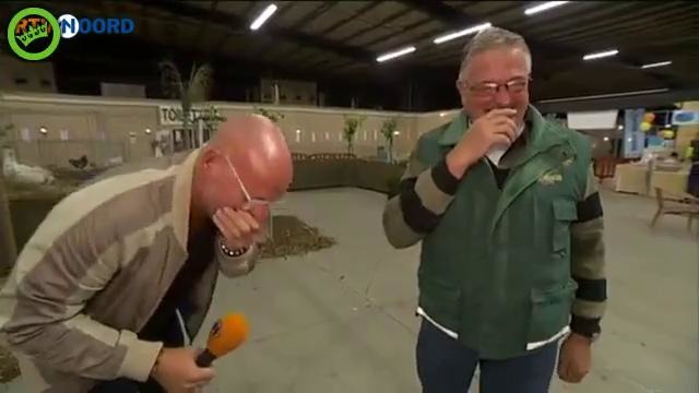 Niderlandiyalik fermer o‘z tovuqlarining qichqirig‘i kabi kuladi