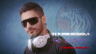 Dj Piligrim – Ne Zabudu Tiger remix