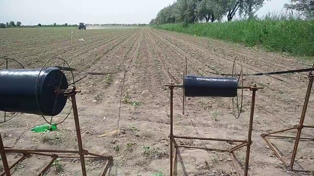 T video5415740064158188373 (1)