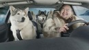 Suzuki Kizashi. Куда санки дел
