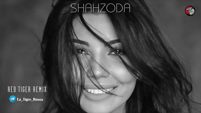 Shahzoda – Ambient megamix by Red Tiger