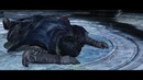 Вся суть Dark Souls 2