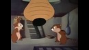 Mickey Mouse: Squatters Rights