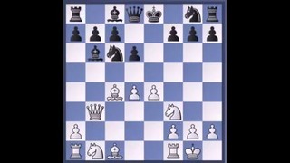Шахматы. Атака на короля. (для 2-3 разряда)
