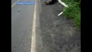 Первый раз в первый куст