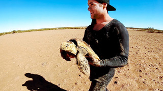 I Rescued A Helpless Turtle & It Went Viral On Tik Tok (Sea Snake & Giant Mud Crab) – Ep 183