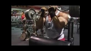 Gustavo Badell-Training Arms in Gold’s Gym(тренировка рук)(2005)
