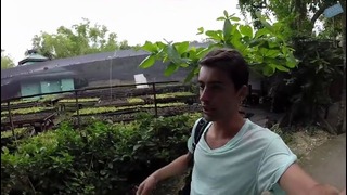 Travel vlog: Филиппины. Пчелиная ферма и водопад (острова Панглао и Бохоль)
