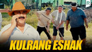 Qalpoq – Kulrang eshak