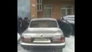 Чуваки купили медведя