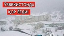 O‘zbekistonda birinchi qor yog‘di