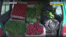 Порядок ввоза в Ташкент сельхоз продукции