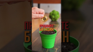 Продавайте Биткоин, покупайте АЛЬТКОИНЫ