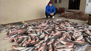 Приготовили 300 кг Рыбы и угостили всех! Как Узбеки Жарят рыбу! Туй продолжается