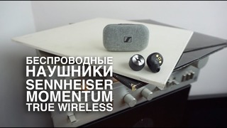 Беспроводные наушники Sennheiser Momentum True Wireless