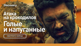 Атака крокодилов | Голые и напуганные | Discovery