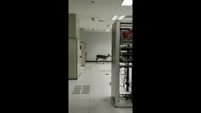 Истинная причина сбоев Youtube и Facebook в Узбекистане