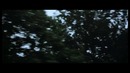 Avicii – Waiting For Love