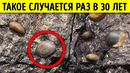 11 загадочных мест нашей планеты