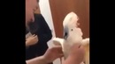 Говорящий попугай )