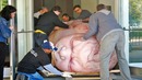 5 НЕВЕРОЯТНЫХ случаев рождения детей