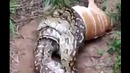 Слишком большой завтрак