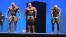 Арнольд классик Европа 2013 – Деннис Вольф, Кай Грин и Фил Хит
