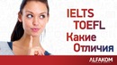 Какие отличия у IELTS и TOEFL