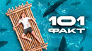 101 ФАКТ, который СПАСЕТ твою ЖИЗНЬ