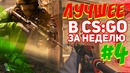 Zeus Life. Лучшее в КСГО за неделю#4