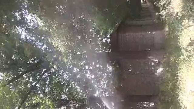 Насос пульверизатор