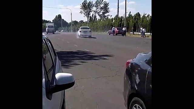 Лось Надымел Ташкент
