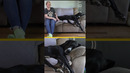 World’s tallest dog is pretty lazy