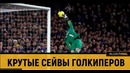 Крутые сейвы Голкиперов