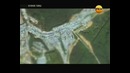 Великие тайны. Проклятие великого магистра. Документальный фильм