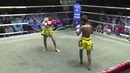 Юные тигры Muay Thai