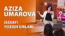 Mukammal insho (ESSAY) yozish sirlari
