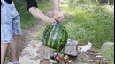 Возможно ли взорвать арбуз бутылкой крота