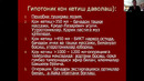 Zoom илк чилла қон кетиш