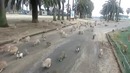 Девушка и кролики