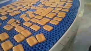 Линия производства галетных печении от iranuz