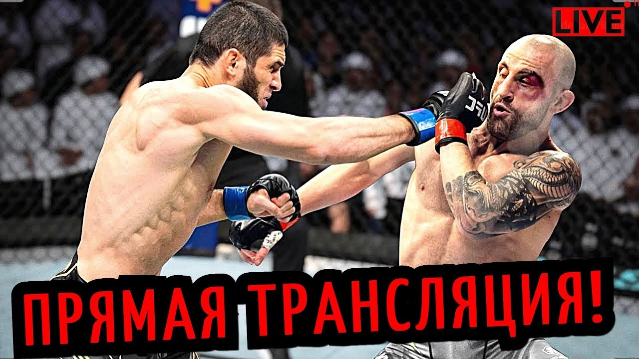 Прямая трансляция бой без правил. UFC 284 Махачев Волкановски.