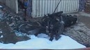 Страшный пожар в Пакистане