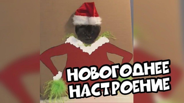 (BugagaTV) Приколы и Фейлы 2017 Декабрь / Wins & Fails December 2017 (Part 8)